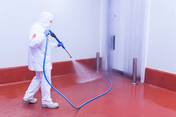 Best Driveway Pressure Washing  in Grenelefe, FL
