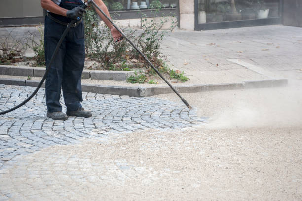 Animal Enclosure Cleaning in Grenelefe, FL